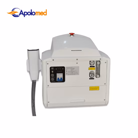 Laser Hair Removal Home Device Beautysalon Face Body Treatment